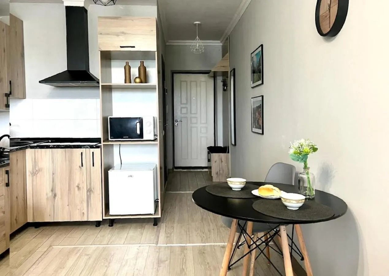 Apartment Апартаменты-Студия Көктем С Видом На Город